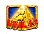 Wild