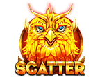 Scatter