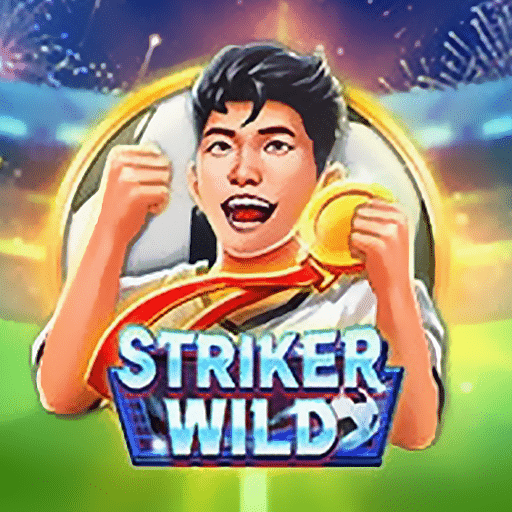 รีวิวเกม Striker Wild