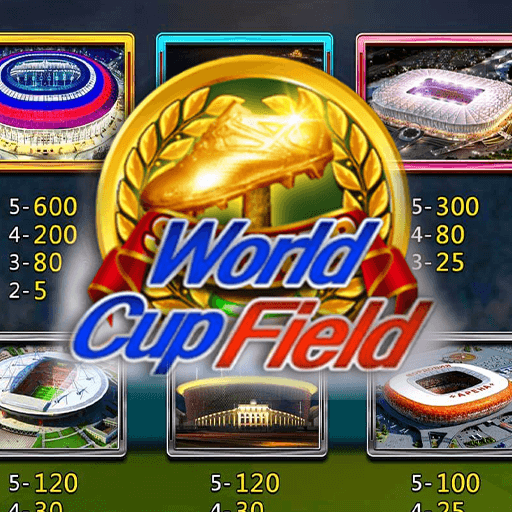 รีวิวเกม World Cup Field