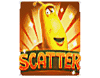 Scatter
