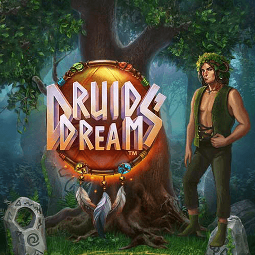 รีวิวเกม Druids Dream